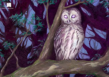 Owl Spirit