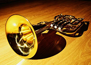 Tenor horn on wooden floor