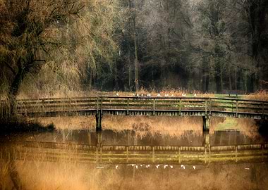 Bridge over troubled water