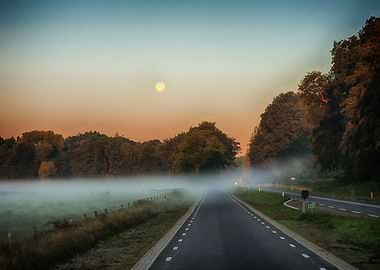 Fog over road