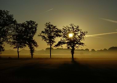 Early in the morning