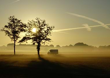 Early in the morning