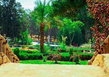 University Of Jordan