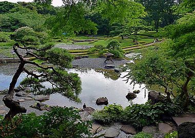 Japanese garden