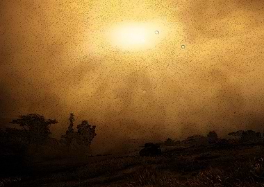 The Lost Panther ~ Dark