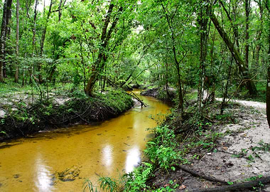 Loblolly Woods Nature Park