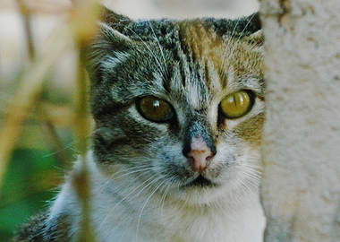 work by me i hope you like