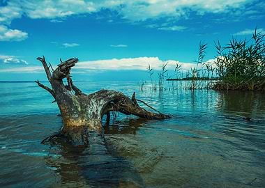 Landscape of the river