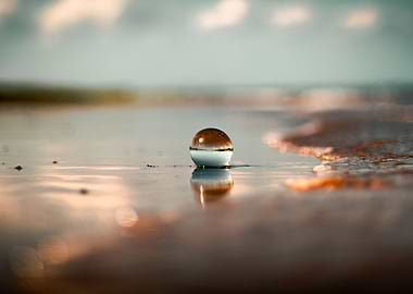 A 'Ball' of Sunshine