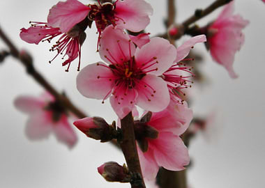 work by me i hope you like