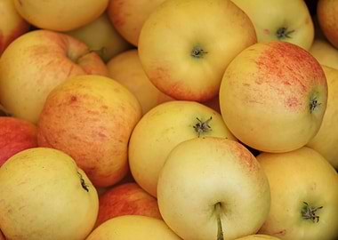 apple at the grocery