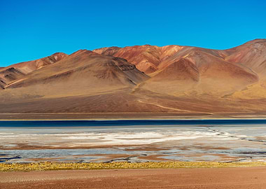 Salar
