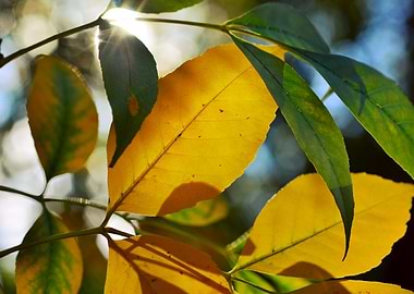 Summer's almost gone