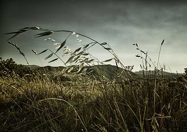 The wind over the hills