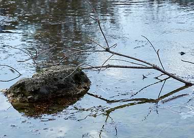 autumn reflection on river