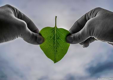 Human taking care of natur