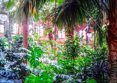 Atocha, zona tropical