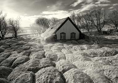 The Last Turf Church of Ho