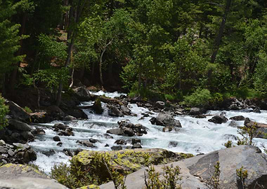 Nature is beautiful indeed