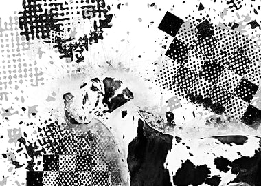 Harlequin Great Dane