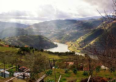 Douro Valley