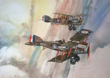 A Pair of Bristol Fighters