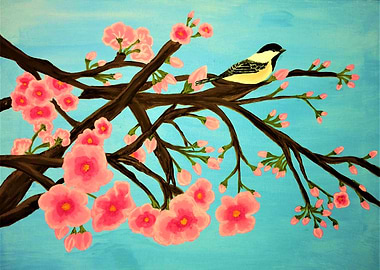 Chickadee in Cherry Tree