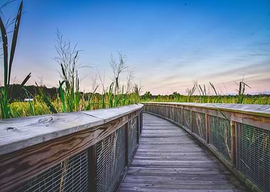 Sweetwater Wetlands Park