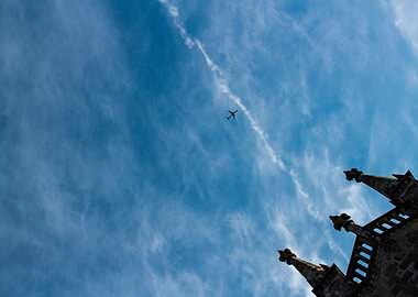 The birds of humankind