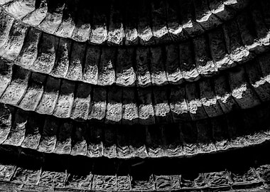 The owls are watching