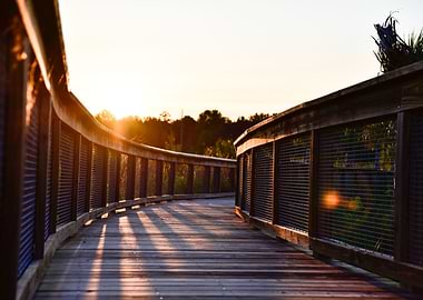 Sweetwater Wetlands Park