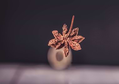 Star Anise