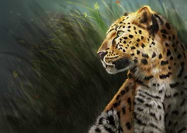 Calm before the hunt