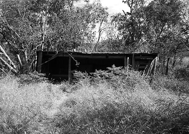Abandoned Shed