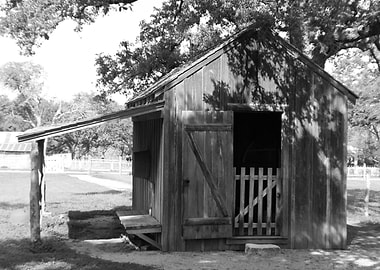 Pioneer Shed