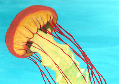 Jelly Fish