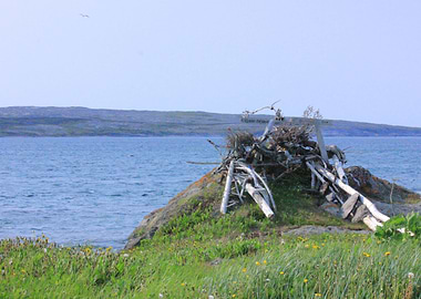 Scrap wood and the ocean