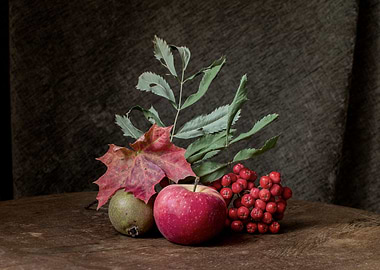 Autumn still life