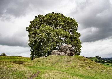 Carmarthenshire Wales