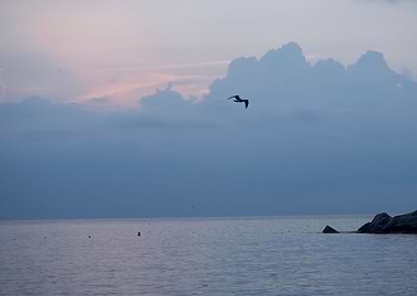 Sunrise Serenity Now