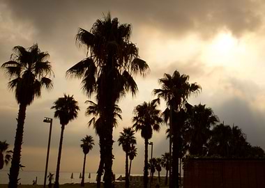 Golden Barceloneta Sunrise
