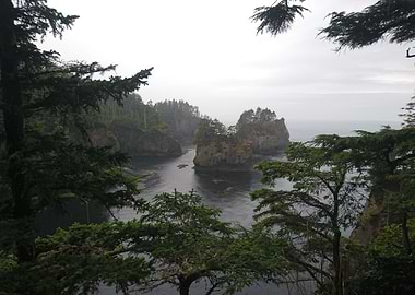 Cape Flattery