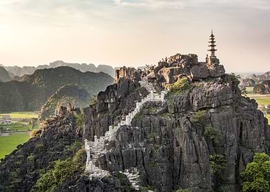 The Top of the Tiger