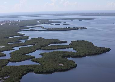 Florida aerial
