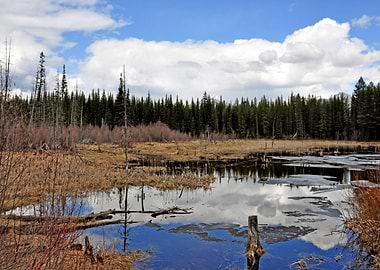 Mountain Valley Bear Pond