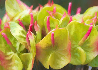 floral composition for dec