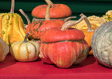 decorative pumpkin in the