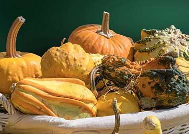 decorative pumpkin in the