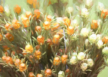 floral composition for dec