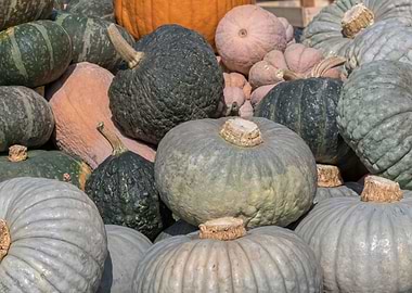 decorative pumpkin in the